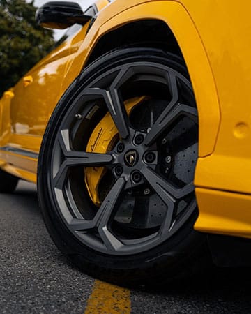 Caliper Painting - Wraptors Caliper Painting - Wraptors