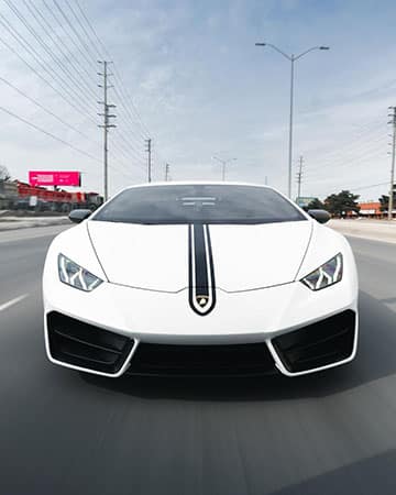 Racing Stripes – Wraptors Racing Stripes – Wraptors